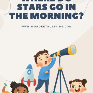 Where Do Stars Go in the Morning?